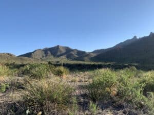 Looking across a field towards green mountains