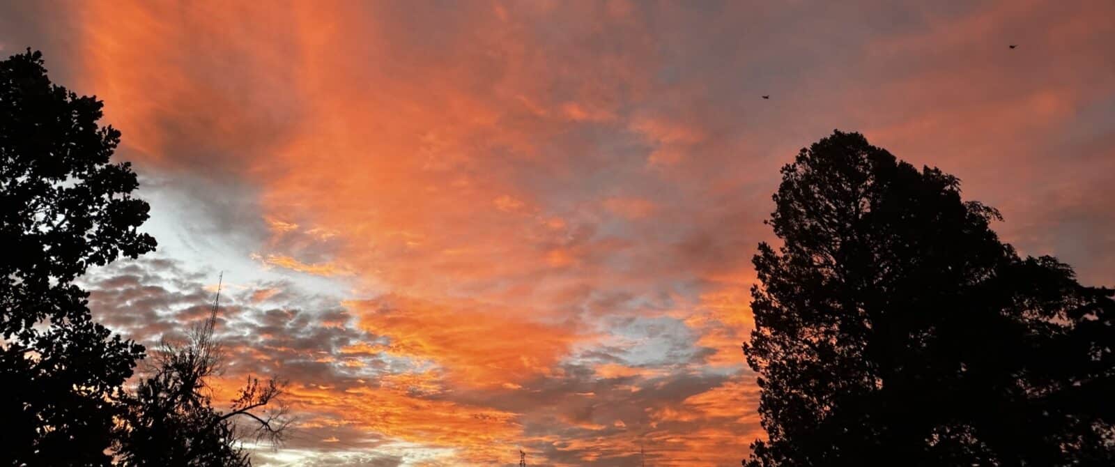 orange sky at sunrise with trees showing on the left and right of the picture