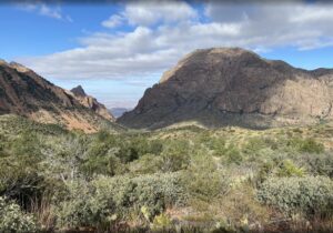 A view of high greeen grass foreground and green mountains in the background