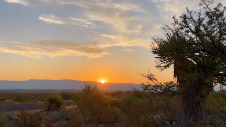 Desert landscape at sunset with a low sun on the horizon, silhouetted hills, and a large cluster of spiky desert plants on the right foreground.