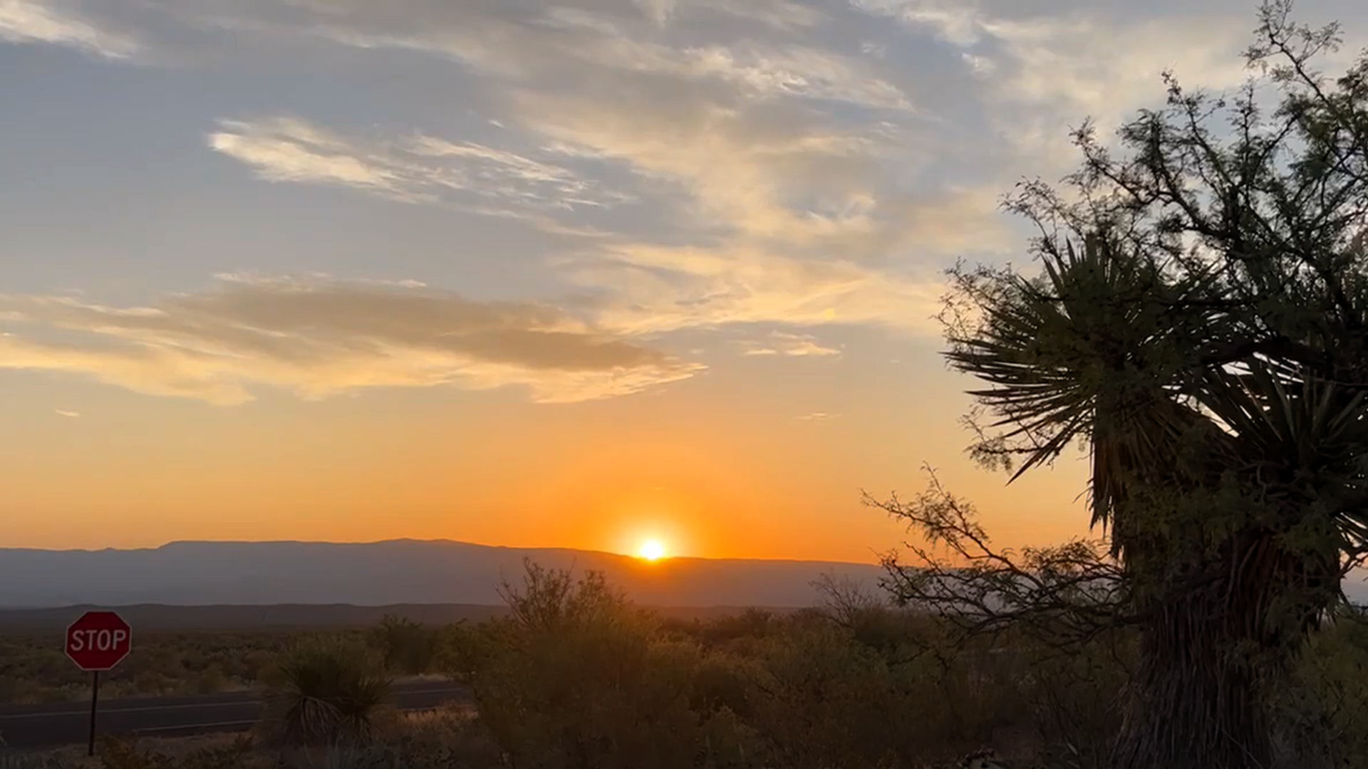 Sunrise coming over a mountain with a tree in th foreground